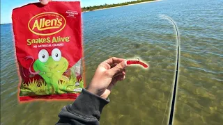 I Hooked Into A GIANT Fish.... on a LOLLIE