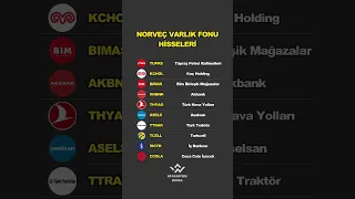 Norveç Varlık Fonu Hisseleri. #borsa #hisse #bist100 #yatırım