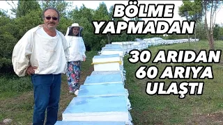 Bölme yapmadan 60 kovana çıkarttı. #arı #aricilik #arıcı #balarısı #bölme