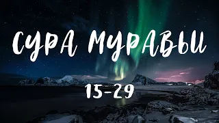 Сура Ан-Намль (Муравьи) [аяты 15-29] | Видео-Коран | Ислам Субхи