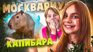КАПИБАРА в Москвариуме - самый большой и мемный грызун в мире!