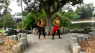 Zumba Fitness Chore (Tu Pum Pum)