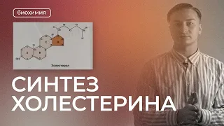 Синтез холестерола | Биохимия (субстраты, разбор реакций)