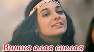 ПЕСНЯ ЗА ДУШУ БЕРЕТ    ~ВИШНЯ АЛАЯ СПЕЛАЯ~  ФАТИМА ХАБЛИЕВА