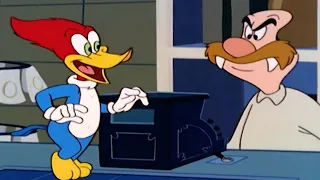 Woody outsmarts Wally | Woody Woodpecker