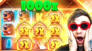 FINALLY… WE HIT A INSANE 1000X WIN ON DOG HOUSE MULTIHOLD!!!