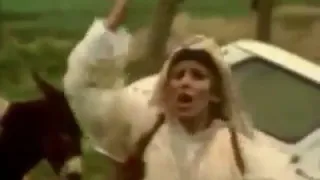 تورية جبران 1980