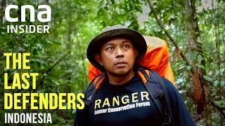 Rangers VS Poachers: Inside Indonesia's Last Wildlife Fortress, Leuser | The Last Defenders