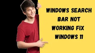 How to fix windows 11 search bar not working