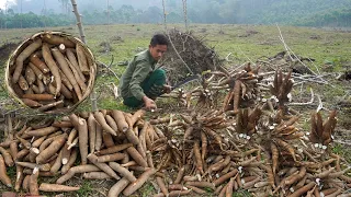 Harvest cassava,vegetables and bring them to the market to make money to build a wooden kitchen EP34