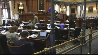 Senate debates State budget