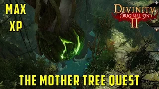 The Mother Tree Quest (Divinity Original Sin 2)