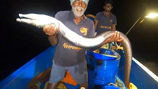 Catching Electric Ray Fish, EEL Fish & Blubber Lip Fish in Sea