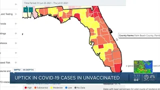 Decrease in COVID-19 vaccinations worries doctors as Florida cases rise again