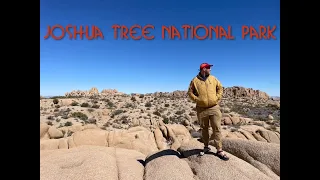 Travellers Autobarn Vanlife in Joshua Tree: Exploring the desert in a rented campervan!