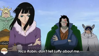 4 Secrets that Robin Hides from Luffy