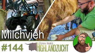 FarmVlog #144: Milchvieh im Stall | Problemkalb | Steyr 4055 S lackieren