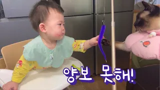 [아기vs고양이 낚시대결] 한번에 둘을 데리고 놀아줄 수 있을까? #아기와고양이 #아기영상 #koreanbaby #싸우지좀마