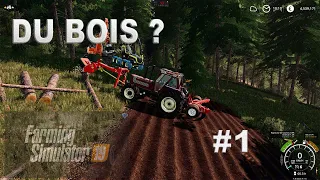 DU BOIS ? Farming simulator 19 forestier épisode 1