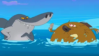 Zig & Sharko | BAMBOOZLED (COMPILATION) New Episodes in HD