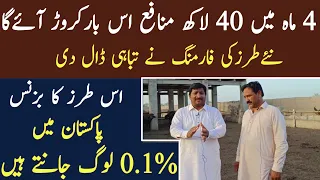 4 Month Profit 40 lacs |New Highly Profitable business idea|Asad Abbas chishti|