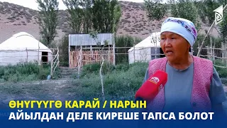 Айылдан деле киреше тапса болот / Нарын