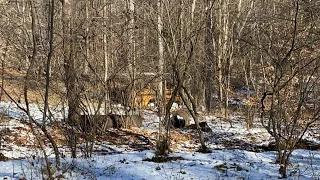 Is Bigfoot Sasquatch Living In This Abandoned School Bus In The Woods?