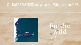 Dr. KATE STAFFORD on What the Whales Hear /198