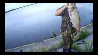 Неожиданная рыбалка! Бешеный клев толстолоба! Такого я еще не видил! best fishing