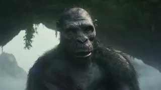 Kong meets kid Kong| Kong fight |Godzilla x Kong scene