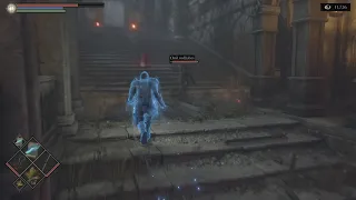 Demon's Souls PvP did this black phantom think they are blue??