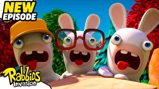 Rabbid picnic (S04E08) | RABBIDS INVASION | New episodes | Cartoon for Kids