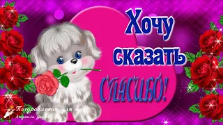 ❤️ Хочу сказать Спасибо! 🌹Музыкальная видео открытка.