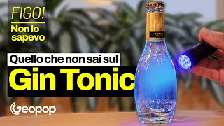 Il Gin Tonic veniva usato come medicina contro la malaria: ecco la storia del cocktail