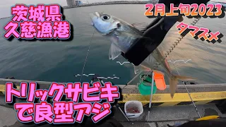 茨城県　久慈漁港　サビキ釣り　2月上旬　まだ釣れそうです　2023