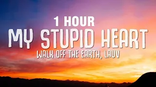 [1 HOUR] My Stupid Heart - Walk off the Earth, Lauv (Lyrics)