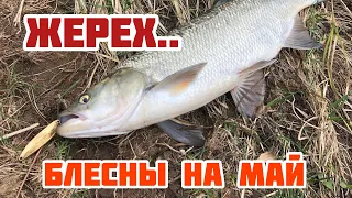 БЛЕСНЫ ДЛЯ ЛОВЛИ ЖЕРЕХА В МАЕ