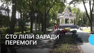 Сто лілій — заради перемоги. У Сумах висадили Алею слави Збройних сил України