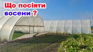 Що посіяти восени і ЗАРОБИТИ ? Все буде🇺🇦