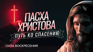 ПАСХА ХРИСТОВА: путь ко спасению. Пророчества, Жертва Христа, Новый завет. Прямой эфир из Иерусалима