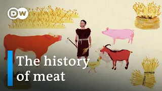 Do we need to eat meat? | DW Documentary