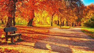 Золотиста осінь - Анісімови Віктор та Любов