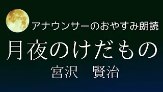 【睡眠導入】眠れるアナウンサー朗読～宮沢賢治「月夜のけだもの」読み聞かせ【元NHK フリーアナウンサー島 永吏子】