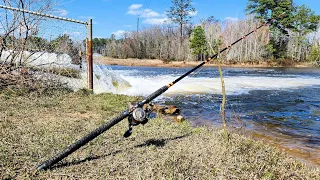 This TINY SPILLWAY Had SO MANY FISH!! (Multiple New Species)