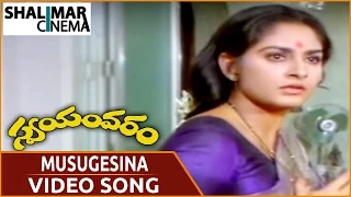 Swayamvaram Movie || Musugesina Video Song || Shobhan Babu,Jayapradha || Shalimarcinema