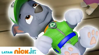 Paw Patrol, Patrulla de cachorros | ¡Hora de cachorros! - parte 1 | Nick Jr. en Español