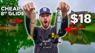 Fishing GIANT CHEAP Glide Baits I Found on Amazon!