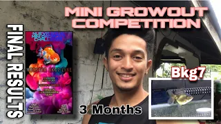 GOLDFISH GROOMING (MINI GROW OUT CHALLENGE)