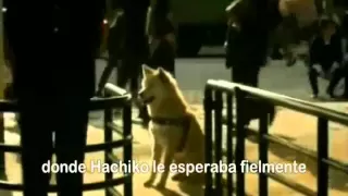 La verdadera Historia de Hachiko Narrado .