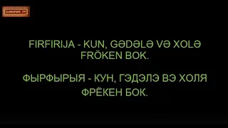 Fırfırıja - kun, gədələ nə xolə Fröken Bok /Фырфырыя - кун, гэдэлэ нэ холя Фрёкен Бок/